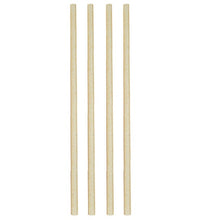 23cm Sugarcane Straws - 50 Pack