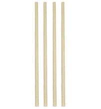 23cm Sugarcane Straws - 50 Pack