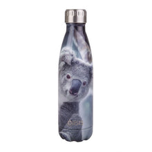 Oasis Insulated Drink Bottle 500ml Lone Koala